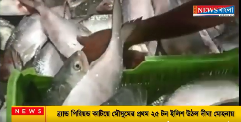 ব্র্যান্ড পিরিয়ড কাটিয়ে মৌসুমের প্রথম ইলিশ