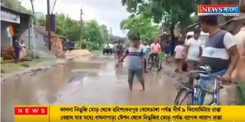বাঘনাপাড়া স্টেশন থেকে নিভুজির মোড় পর্যন্ত ব্যাপক খারাপ রাস্তা